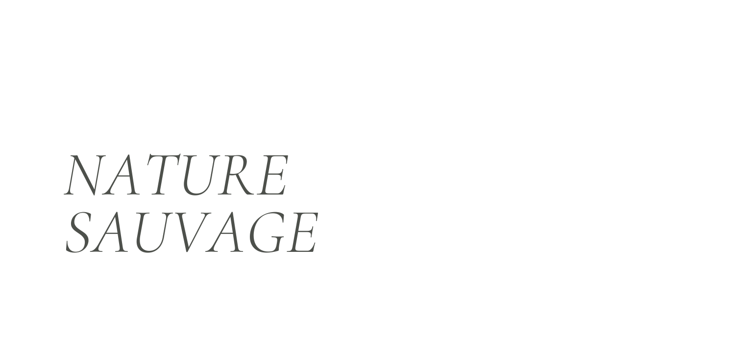 Nature Sauvage